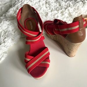 Red wedges